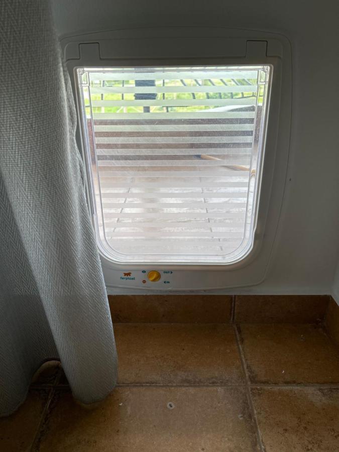 Calliopes By The Sea Boutique Suites Paralia Dionisiou Eksteriør billede